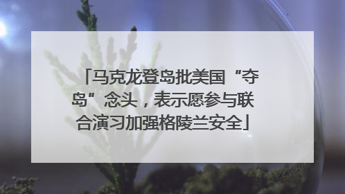 马克龙登岛批美国“夺岛”念头，表示愿参与联合演习加强格陵兰安全