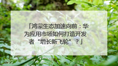 鸿蒙生态加速向前：华为应用市场如何打造开发者“增长新飞轮”？