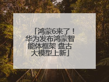 鸿蒙6来了！华为发布鸿蒙智能体框架 盘古大模型上新