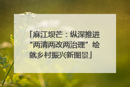 麻江坝芒：纵深推进“两清两改两治理”绘就乡村振兴新图景