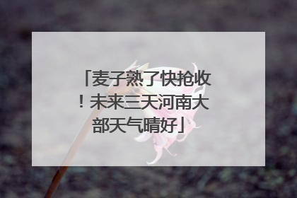 麦子熟了快抢收！未来三天河南大部天气晴好
