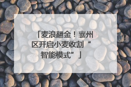 麦浪翻金！襄州区开启小麦收割“智能模式”