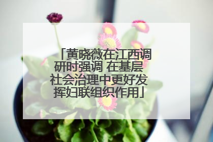 黄晓薇在江西调研时强调 在基层社会治理中更好发挥妇联组织作用