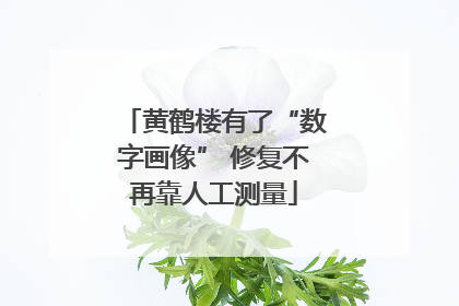 黄鹤楼有了“数字画像” 修复不再靠人工测量