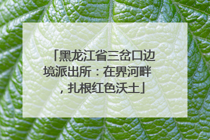黑龙江省三岔口边境派出所：在界河畔，扎根红色沃土