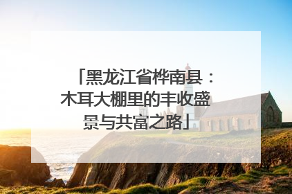 黑龙江省桦南县：木耳大棚里的丰收盛景与共富之路