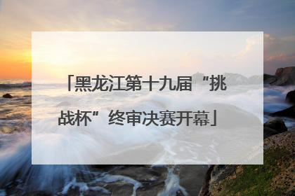 黑龙江第十九届“挑战杯”终审决赛开幕