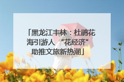 黑龙江丰林：杜鹃花海引游人 “花经济”助推文旅新热潮