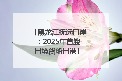 黑龙江抚远口岸：2025年首艘出境货船出港