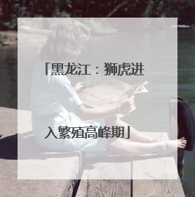 黑龙江：狮虎进入繁殖高峰期