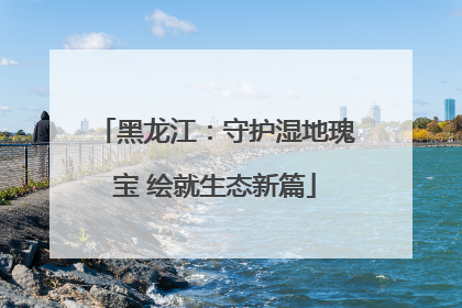 黑龙江：守护湿地瑰宝 绘就生态新篇