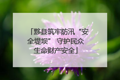 黟县筑牢防汛“安全堤坝” 守护民众生命财产安全