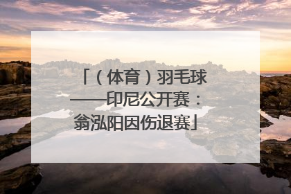 （体育）羽毛球——印尼公开赛：翁泓阳因伤退赛
