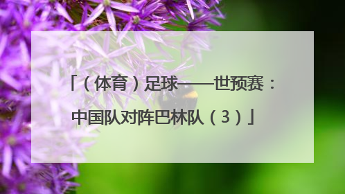 （体育）足球——世预赛：中国队对阵巴林队（3）