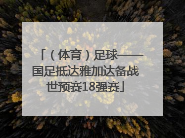 （体育）足球——国足抵达雅加达备战世预赛18强赛