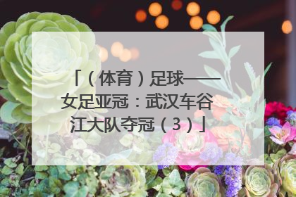 （体育）足球——女足亚冠：武汉车谷江大队夺冠（3）