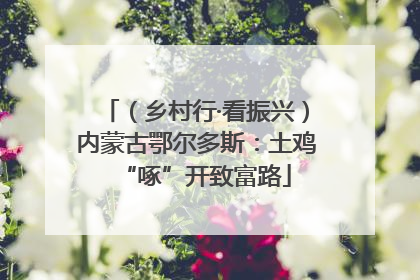 （乡村行·看振兴）内蒙古鄂尔多斯：土鸡“啄”开致富路