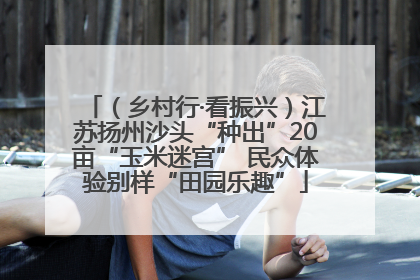 （乡村行·看振兴）江苏扬州沙头“种出”20亩“玉米迷宫” 民众体验别样“田园乐趣”