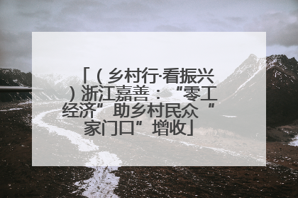 （乡村行·看振兴）浙江嘉善：“零工经济”助乡村民众“家门口”增收