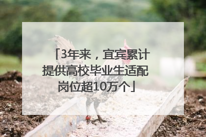 3年来，宜宾累计提供高校毕业生适配岗位超10万个