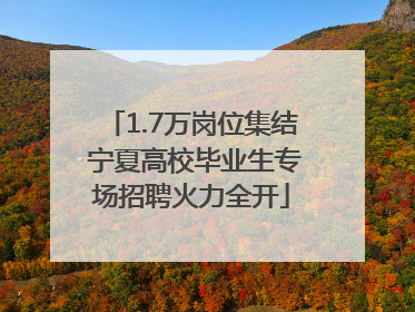 1.7万岗位集结 宁夏高校毕业生专场招聘火力全开