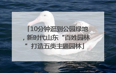10分钟逛到公园绿地，新时代山东“百姓园林”打造五类主题园林