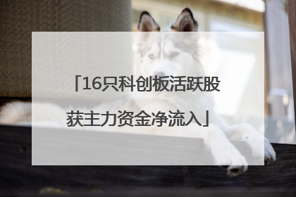 16只科创板活跃股获主力资金净流入