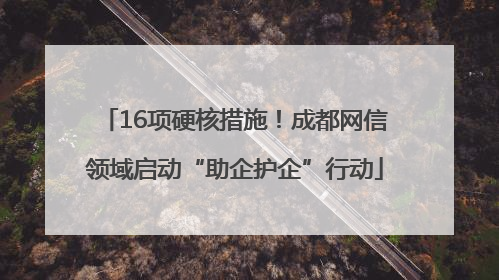 16项硬核措施！成都网信领域启动“助企护企”行动
