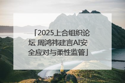2025上合组织论坛 周鸿祎建言AI安全应对与柔性监管