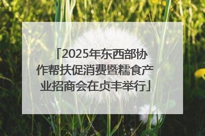 2025年东西部协作帮扶促消费暨糯食产业招商会在贞丰举行