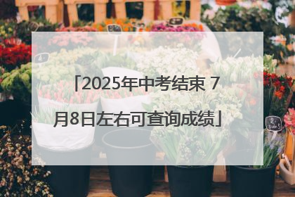 2025年中考结束 7月8日左右可查询成绩