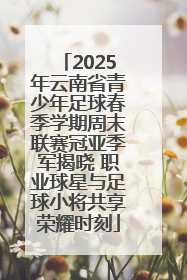 2025年云南省青少年足球春季学期周末联赛冠亚季军揭晓 职业球星与足球小将共享荣耀时刻