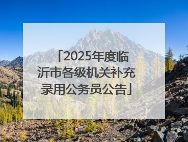 2025年度临沂市各级机关补充录用公务员公告