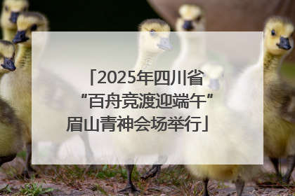 2025年四川省“百舟竞渡迎端午”眉山青神会场举行