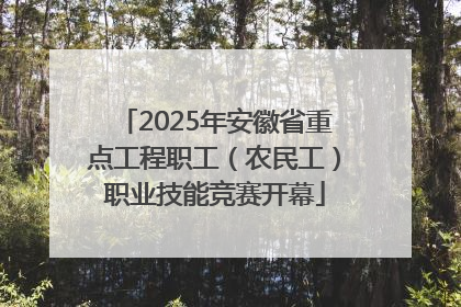 2025年安徽省重点工程职工（农民工）职业技能竞赛开幕