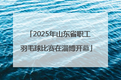 2025年山东省职工羽毛球比赛在淄博开幕