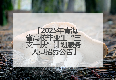 2025年青海省高校毕业生“三支一扶”计划服务人员招募公告