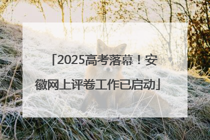 2025高考落幕！安徽网上评卷工作已启动