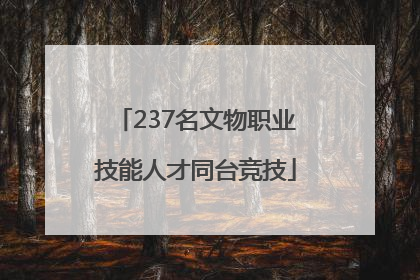 237名文物职业技能人才同台竞技