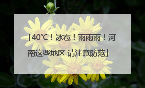 40℃！冰雹！雨雨雨！河南这些地区 请注意防范