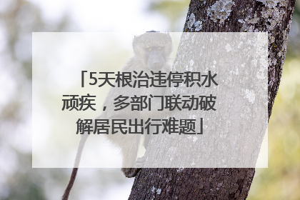 5天根治违停积水顽疾，多部门联动破解居民出行难题