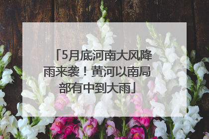5月底河南大风降雨来袭！黄河以南局部有中到大雨