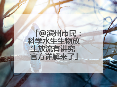 @滨州市民：科学水生生物放生放流有讲究 官方详解来了