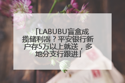 LABUBU盲盒成揽储利器？平安银行新户存5万以上就送，多地分支行跟进