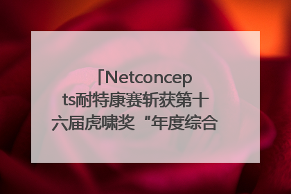Netconcepts耐特康赛斩获第十六届虎啸奖“年度综合服务商”大奖