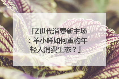 Z世代消费新主场：羊小咩如何重构年轻人消费生态？